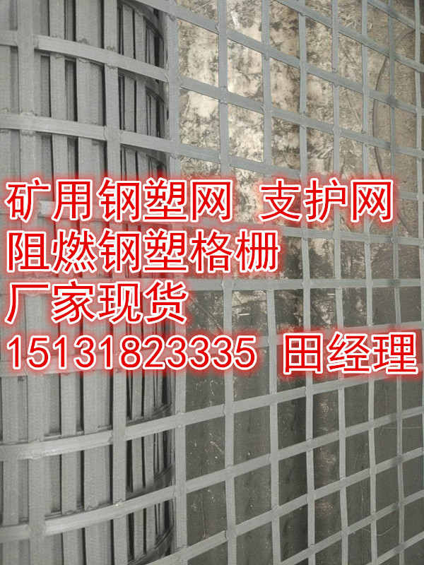 榆林煤礦護幫網假頂網_礦用阻燃抗靜電鋼塑土工格柵