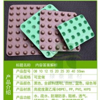 臺州車庫排水板防護(hù)型高分子塑料排水片材